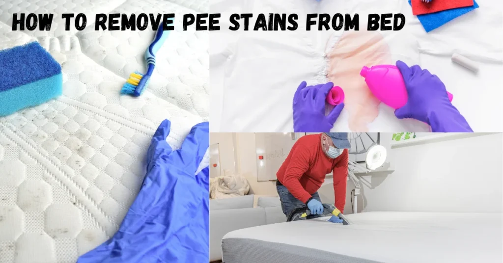 How To Remove Pee Stains From Bed